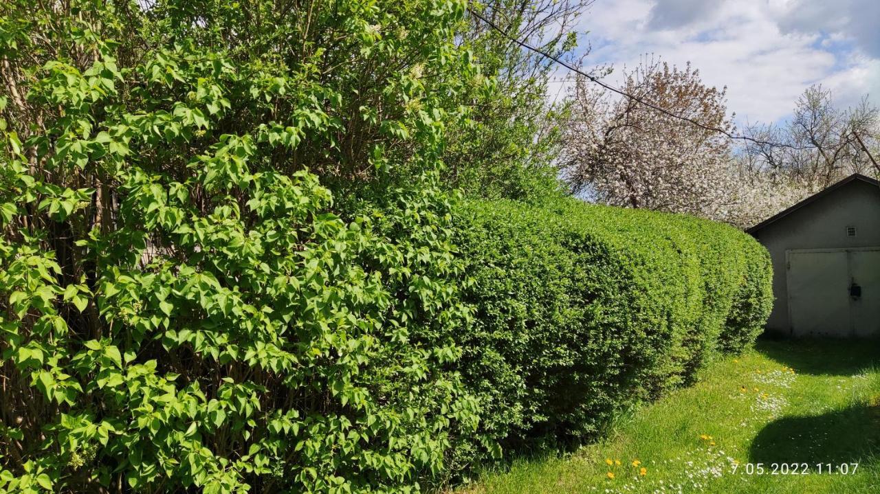 Ferienwohnung Apartament "Jelen" Jelenia Góra Exterior foto